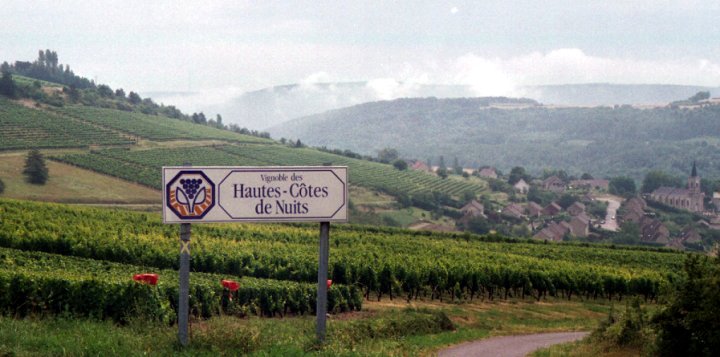 Bourgogne-haute-cote-des-nuits