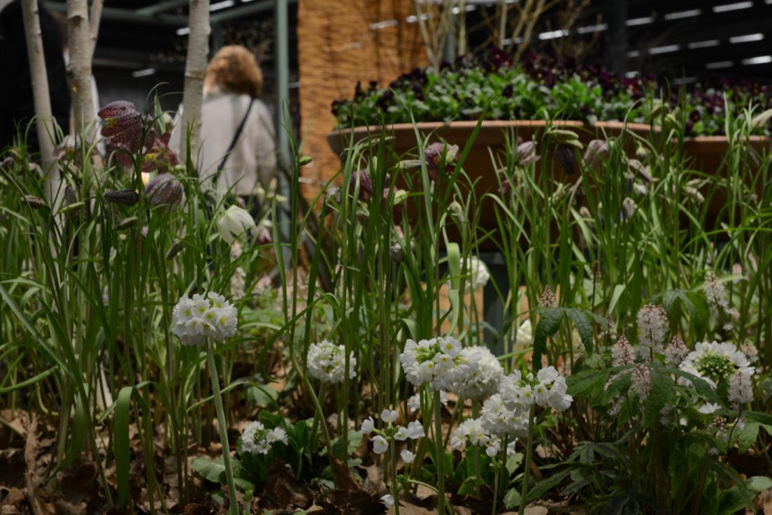 Idéträdgård Gröna raster Näsuddens handelsträdgård av Andreas Graveleij. Foto: Joakim Holmberg